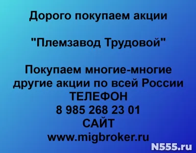 Покупаем акции «Племзавод Трудовой»